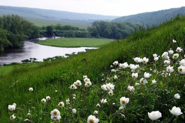 zapovednik_galichya_gora_4